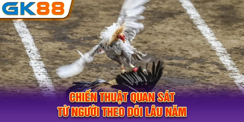 Chiến thuật quan sát từ người theo dõi lâu năm
