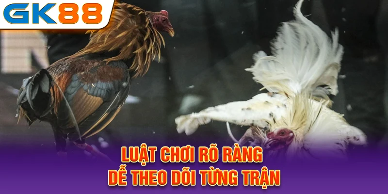 Luật chơi rõ ràng, dễ theo dõi từng trận
